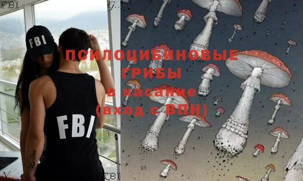 эйфоретик Алексин