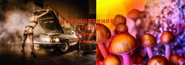 бошки Алзамай