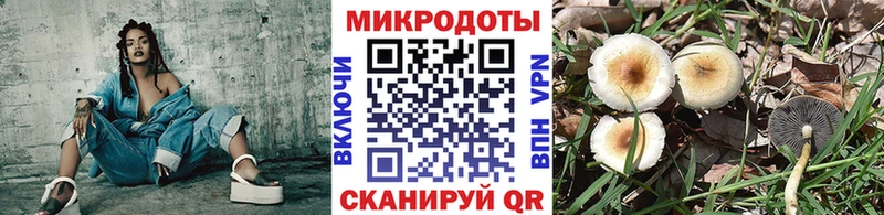 Псилоцибиновые грибы мицелий Хадыженск