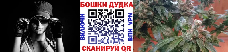 Каннабис OG Kush  darknet клад  кракен ссылки  Хадыженск  цена  
